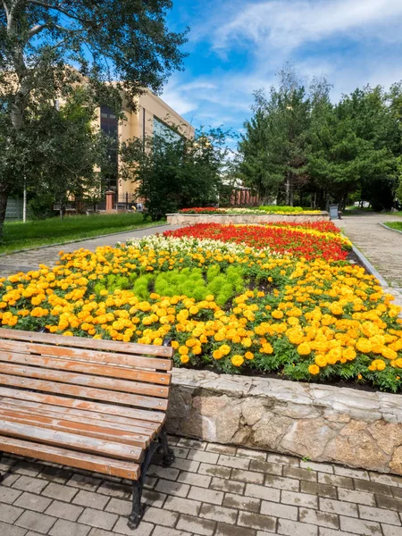 Flowers Violets Flowerbed City Autumn Time — Stock Photo, Image