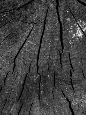 ahşap dokusu grunge arkaplanı