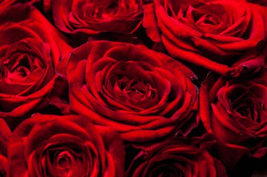 Siyah arka planda bir buket gül.