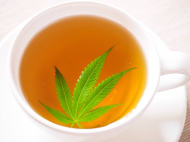 esrar çay. Esrar yaprak bitkisel kaynatma ağrı tedavisi ve iştah artışı kahvenden hazırladım. esrar kullanım tıbbi amaçlar için kavramı.