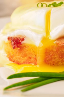 Kahvaltı Yumurta Benedict - tost İngilizce muffins, pastırma, jambon, haşlanmış yumurta, otlar ve lezzetli tereyağı hollandaise sosu olduğunu. 
