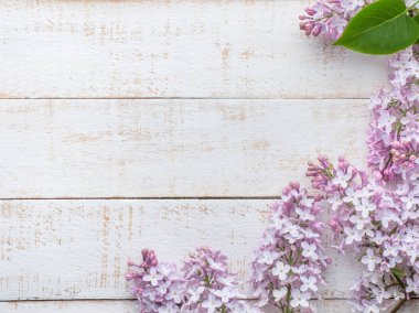 Bahar çiçekleri. Eflatun çiçekler ışık ahşap zemin üzerinde. Üstten görünüm, düz yatıyordu