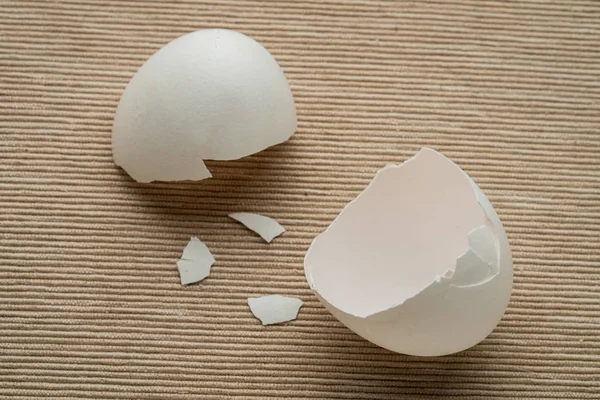 Chicken eggs and egg shell close-up. a cracked half egg shell opening.