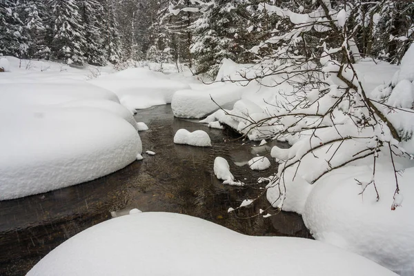 Christmas tale on nature. covered with white clean fresh snow mountain river. winter hiking