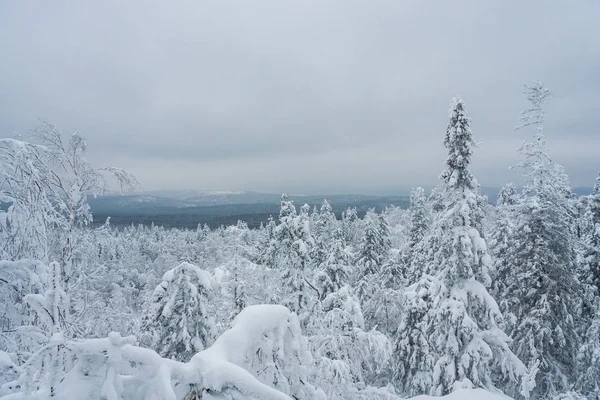 Landskap Snöiga Träd Bergen Winter Forest Täckt Med Ren Frisk — Stockfoto