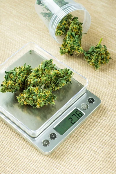Hlávky Květů Konopí Váze Měření Pupenů Lékařské Marihuany Vážení Marihuany — Stock fotografie