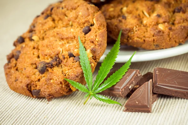 CBD sušenky
