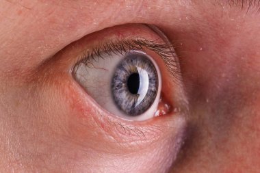 İnsan gözü, iris, göz, göz kirpikleri, göz kapaklarının makro fotoğraf.