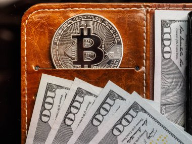 Metal bitcoins ve nakit ve kredi / bankamatik kartları kahverengi deri cüzdan. Bitcoin - modern sanal para.