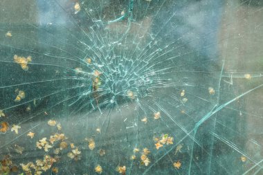 Seçici odak resim kırık araba ön cam üzerinde. Araba kazası. Kırık cam doku. Gerçekçi kırık cam etkisi, kavram eleman izole.