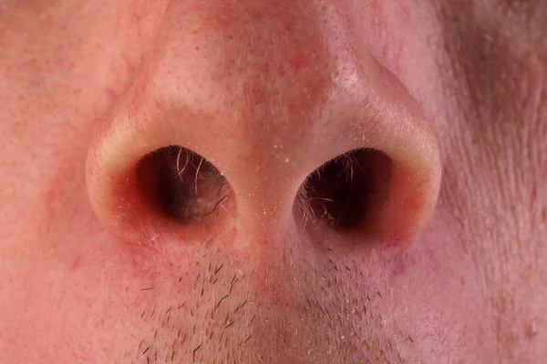 Widok Mężczyzny Nosa Górnej Wargi Jamy Ustnej Widoczne Tylko Przodu — Zdjęcie stockowe