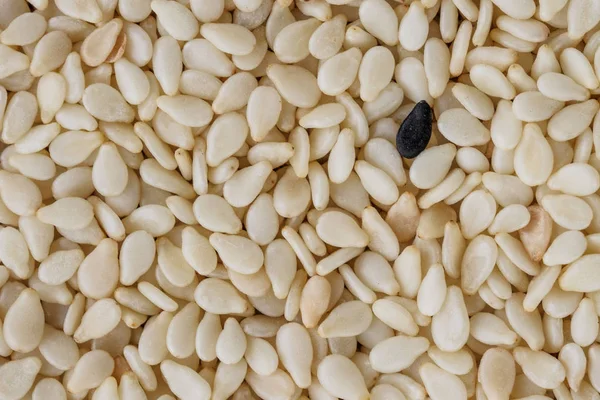 ホワイト トーストしたゴマ種子背景と黒こまの種子を マクロ撮影 — ストック写真