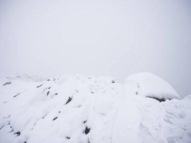 Siyah ve beyaz kış kar fırtınası sırasında anlık görüntüsünü en yüksek dağlar tonda.
