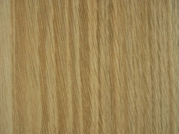 Wood. White Wooden Texture. Wooden Background.