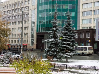 Chelyabinsk, Rusya: 10 Ekim 2018 - ilk şehirde kar. Kış beklenmedik varış. ağaçlar ve çimenler karla kaplı. temiz ve beyaz kar.