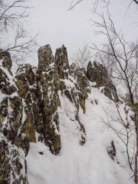 dağın tepesinde kar fırtınası. Rüzgar ve kar yağışı kışın doğal park Taganay. Yalnız ağaçlar ile dağ. doğal peyzaj.