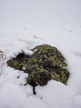 Taşlar bir soğuk kış gününde karla kaplı. Sonbaharda çözdürülen kar. Dağlarda ilk kar.