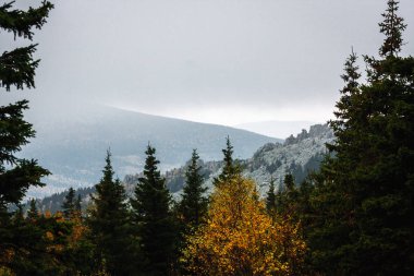 Sonbahar Orman, dağlar ve sis, Güney Urallar, Taganay, Rusya Federasyonu ile bulutlu gökyüzü görüntüleyin.
