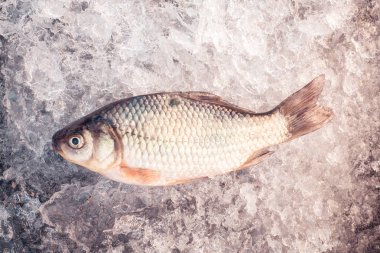 Taze balık kış doğa arka plan üzerinde yakaladı. Donmuş su. Arktik buz doku soyut. Kış Balıkçılık, deniz ürünleri, balık ve sağlıklı gıda.