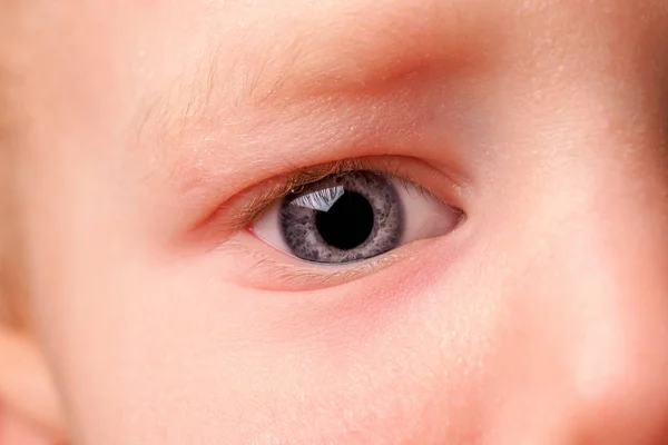 Прекрасный Голубой Глаз Мальчика Макроснимок — стоковое фото