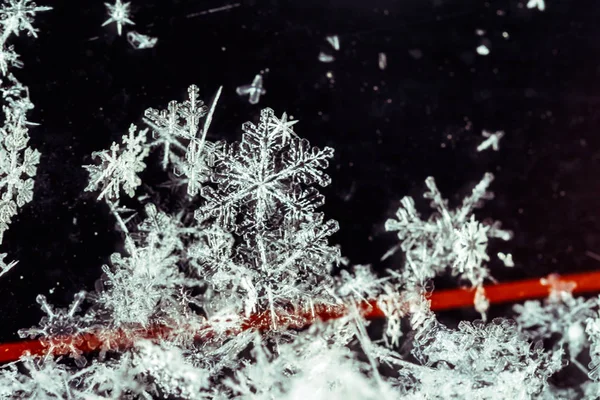 Fragment Snö Textur Snöflingor Täckt Plan Vit Ren Snö Makro — Stockfoto