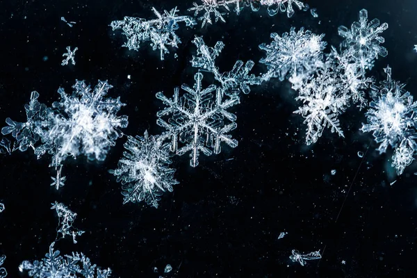 Kar Doku Kar Taneleri Yakın Çekim Parçası Berrak Buz Makro — Stok fotoğraf