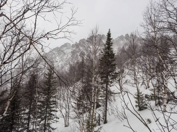 Snöstorm Toppen Berget Vind Och Snöfall Vintern Den Naturliga Parken — Stockfoto
