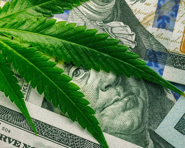 Marijuana Business Concept Cannabis Leaf Dollar Banknotes Marijuana Drug Sales — Stock Photo, Image