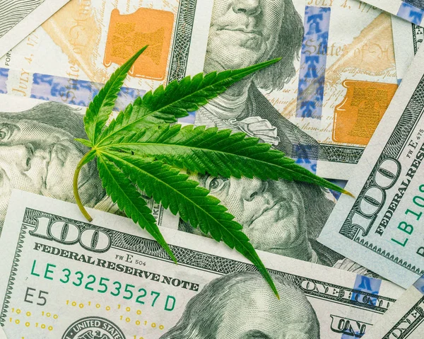 Marijuana Business Concept Cannabis Leaf Dollar Banknotes Marijuana Drug Sales — Stock Photo, Image