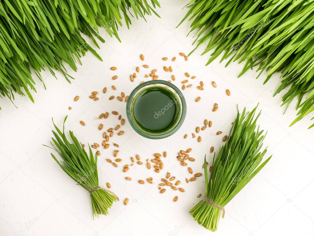 Green organic wheat grass white over dark wood background,top view ,young grass stage