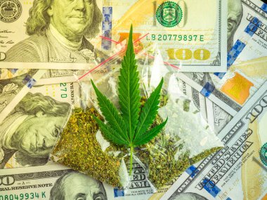 Çanta esrar ve taze esrar bir dolar arka plan üzerinde bırakır. yüksek kar. Amerika ve Kanada tıbbi marihuana yasallaştırma kavramı.