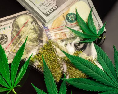 Çanta esrar ve taze esrar bir siyah arka plan üzerine bırakır. Dolar ve yüksek kar. Amerika ve Kanada tıbbi marihuana yasallaştırma kavramı.