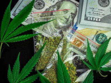Çanta esrar ve taze esrar bir siyah arka plan üzerine bırakır. Dolar ve yüksek kar. Amerika ve Kanada tıbbi marihuana yasallaştırma kavramı.