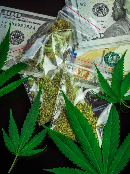 Táskák Marihuána Friss Kannabisz Elhagyja Fekete Háttér Dollárt Nagy Nyereség — Stock Fotó