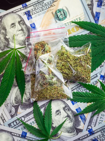 Τσάντες Της Μαριχουάνα Και Την Κάνναβη Φρέσκα Φύλλα Φόντο Δολάρια — Φωτογραφία Αρχείου