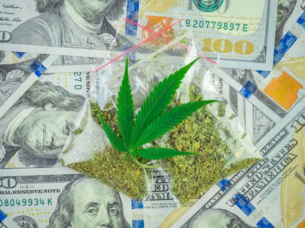 Bags of marijuana and fresh cannabis leaves on a Dollars background. high profits. Concept of legalization medicinal marijuana in America and Canada.