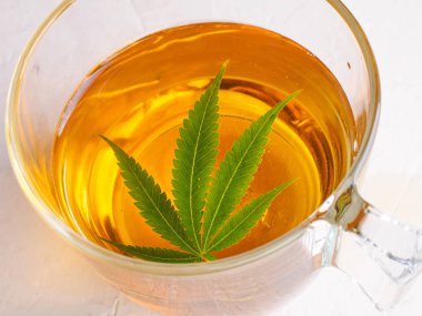 esrar çay. Esrar yaprak bitkisel kaynatma ağrı tedavisi ve iştah artışı kahvenden hazırladım. esrar kullanım tıbbi amaçlar için kavramı.