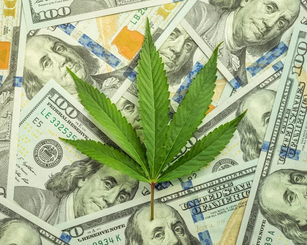 Increase revenue and profits in the field of growing medical cannabis. Leaf of marijuana in cash hundred dollar bills.
