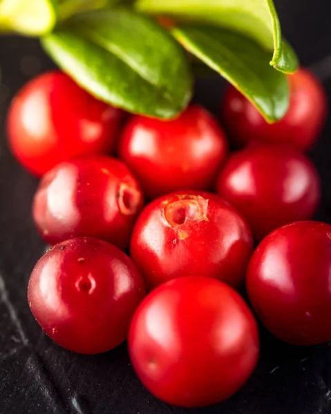 Cowberry (foxberry, lingonberry). Wild cranberry on dark rustic background. Ripe red forest berries Vaccinium vitis-idaea with green leaves. Copy space. — Stock Image Cowberry Foxberry Lingonberry Wild Cranberry Dark Rustic Background Ripe Red Royalty Free Stock Photos