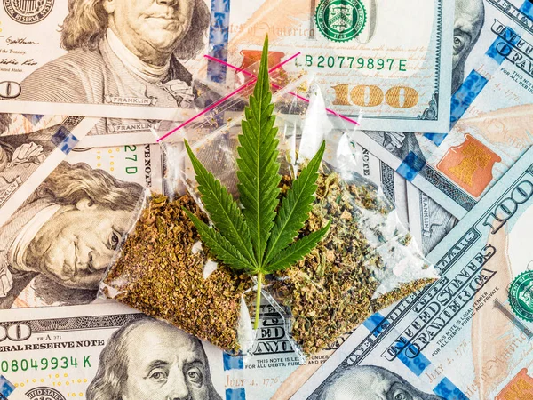 Culture Cannabis Médical Justice Concept Gouvernement Les Gouvernements Réglementent Légalisation — Photo