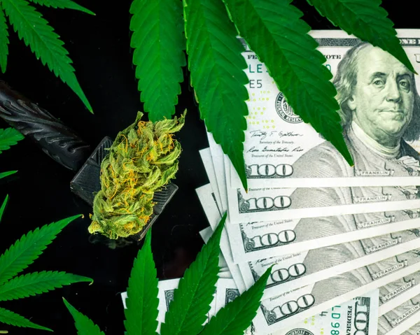 Magas Nyereséget Rögzítésére Jövedelem Termelő Orvosi Kannabisz Vállalat Iparág Legfrissebb — Stock Fotó