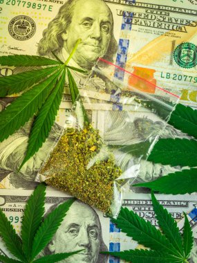 Çanta esrar ve taze esrar bir dolar arka plan üzerinde bırakır. yüksek kar. Amerika ve Kanada tıbbi marihuana yasallaştırma kavramı.