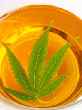 Tatlı kurabiye Odaya Servis Kahvaltı. esrar çay. Esrar yaprak bitkisel kaynatma ağrı tedavisi ve iştah artışı kahvenden hazırladım. esrar kullanım tıbbi amaçlar için kavramı.