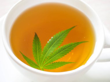 esrar çay. Esrar yaprak bitkisel kaynatma ağrı tedavisi ve iştah artışı kahvenden hazırladım. esrar kullanım tıbbi amaçlar için kavramı.