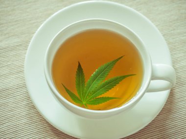 esrar çay. Esrar yaprak bitkisel kaynatma ağrı tedavisi ve iştah artışı kahvenden hazırladım. esrar kullanım tıbbi amaçlar için kavramı.