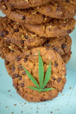 Cbd esrar ve yaprak garnitür ve esrar tomurcukları ile lezzetli ev yapımı kurabiyeler. Esrar tomurcukları kavramı ile esrar bitki yemek konservesi. Gıda olarak kullanılmak üzere tıbbi esrar tedavisi.
