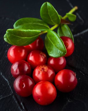 Hasat taze kırmızı Vaccinium vitis idaea, kızılcık, lingonberries, rustik koyu arka plan üzerinde cowberries. Sonbahar Kış konsepti. Yakın çekim yiyecek görüntü.