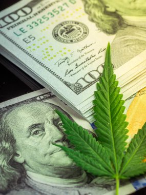 Esrar ve taze esrar bir siyah arka plan üzerine bırakır. Dolar ve yüksek kar. Amerika ve Kanada tıbbi marihuana yasallaştırma kavramı.
