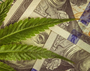 Gelir ve karlar tıbbi esrar büyüyen alanını artırın. Nakit yüz dolar faturaları esrar yaprak. 