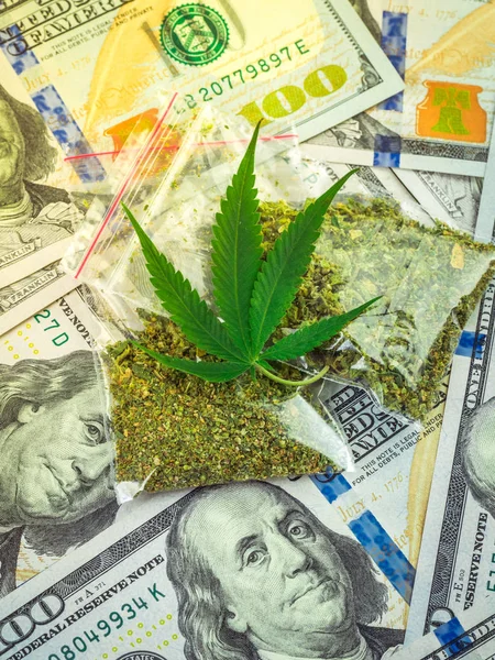 Bags Marijuana Fresh Cannabis Leaves Dollars Background High Profits Concept — Stock Photo, Image